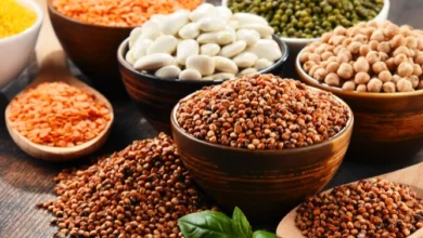 العراق يتصدر استيراد الحبوب